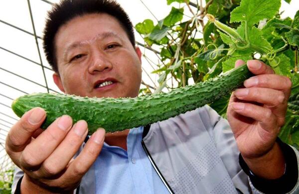 生鮮食材配送為什么大多不能與客戶建立長期合作？